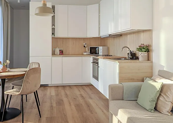 Juozapaviciaus 139a 公寓 *